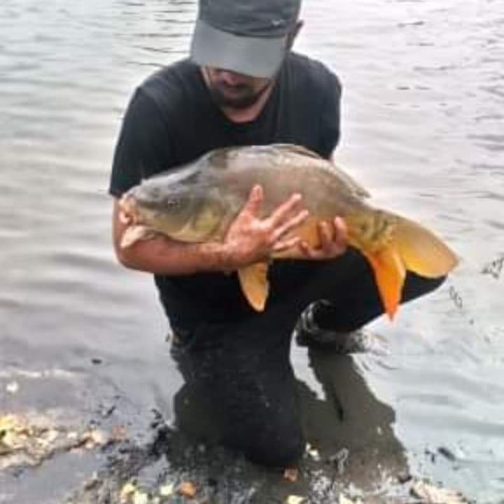 Profil de Gauvain